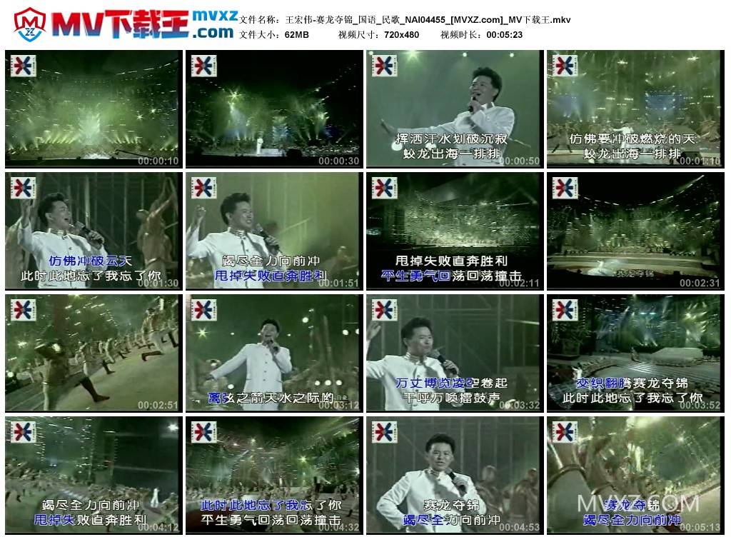 王宏伟-赛龙夺锦_国语_民歌_NAI04455